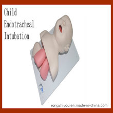 Modelo de entrenamiento de intubación endotraqueal infantil (modelo médico educativo)